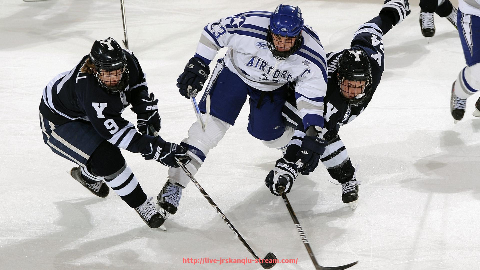 JRS低调看球-德甲球队在欧冠积分榜上的排名及成绩
